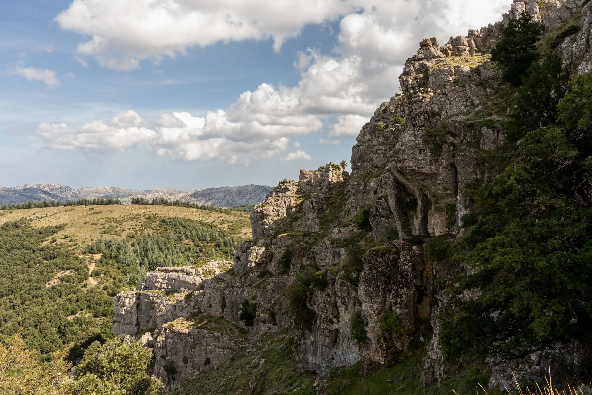 Під час походу на Монте Фумай.
